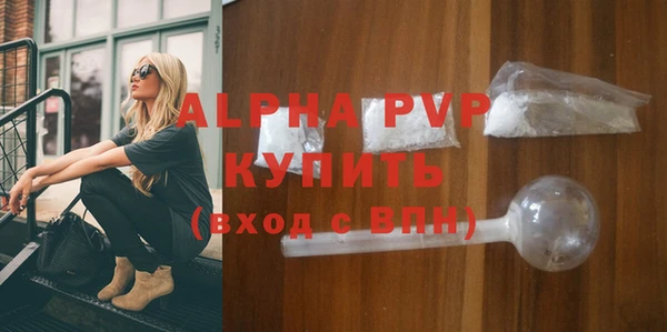 ГАЛЛЮЦИНОГЕННЫЕ ГРИБЫ Вязьма