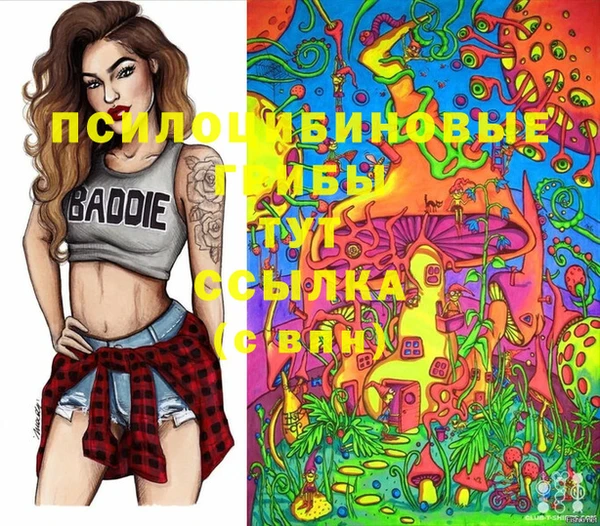 ГАЛЛЮЦИНОГЕННЫЕ ГРИБЫ Вязьма