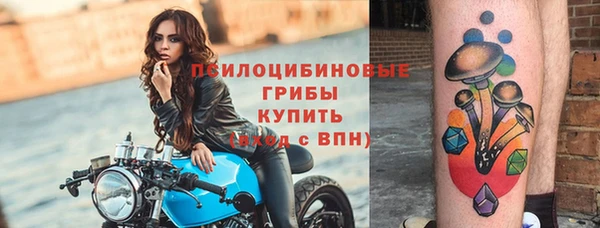 мет Вяземский